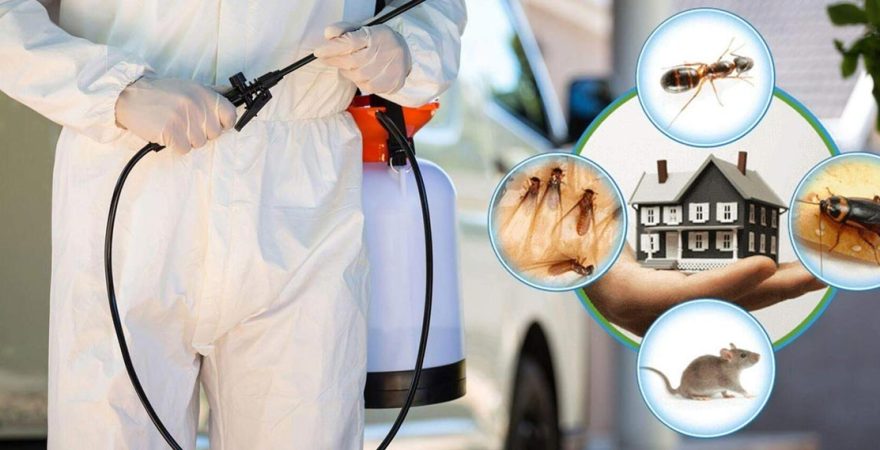 Ödemiş Böcek İlaçlama