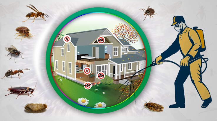 Ödemiş Böcek İlaçlama