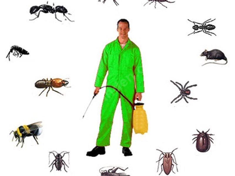 Ödemiş Böcek İlaçlama